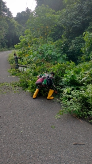 Babinsa Koramil 1628-02/Sekongkang Bersihkan Ranting yang Menutupi Badan Jalan Raya Tongo