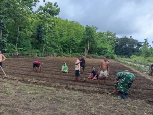 Dukung Pemuda Desa Jadi Petani Milenial Yang Sukses, Babinsa Dampingi Siapkan Lahan PertanianP