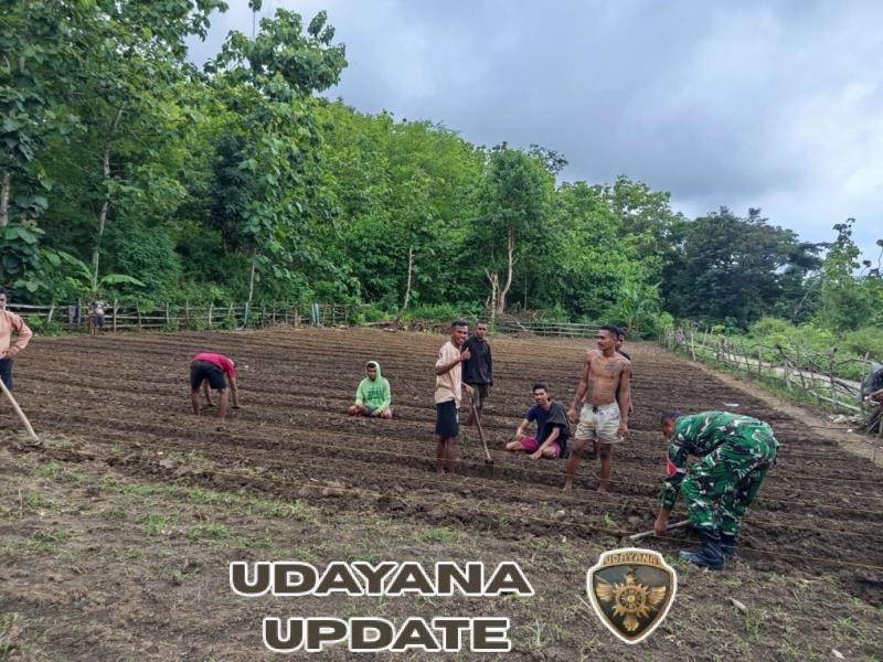 Dukung Pemuda Desa Jadi Petani Milenial Yang Sukses, Babinsa Dampingi Siapkan Lahan PertanianP