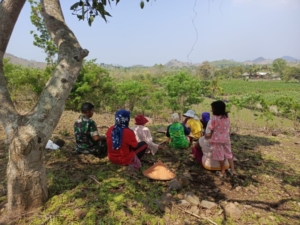 Babinsa Koramil 1614-03 Hu’u Dampingi Petani Woko Tanam Jagung