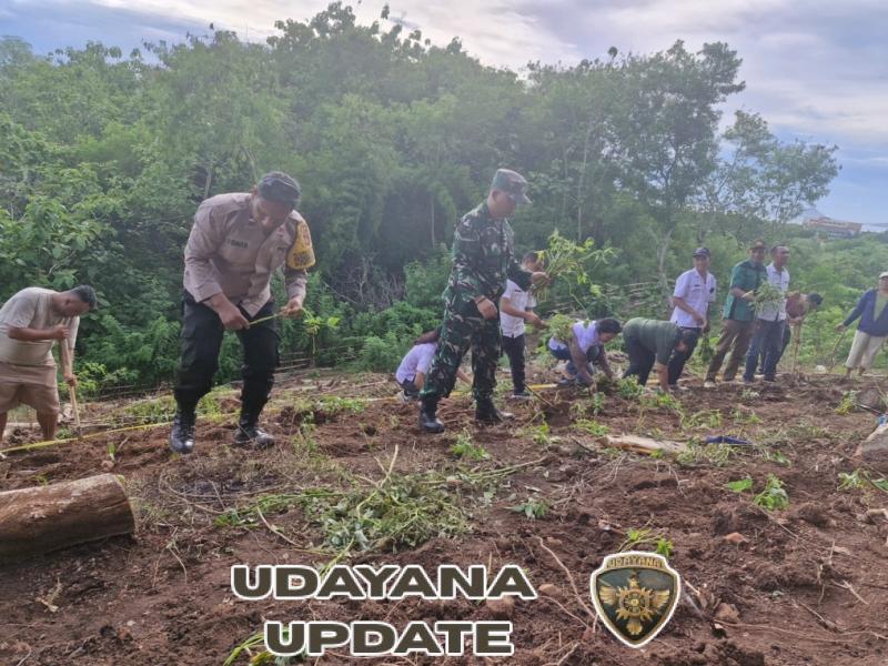 Babinsa Koramil 01/Komodo Dampingi Penanaman Ubi Jalar Ungu Dukung Ketahanan Pangan Desa Gorontalo