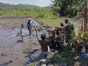 Dukung Ketahanan Pangan, Babinsa Lembur Laksanakan Pendampingan Olah Lahan