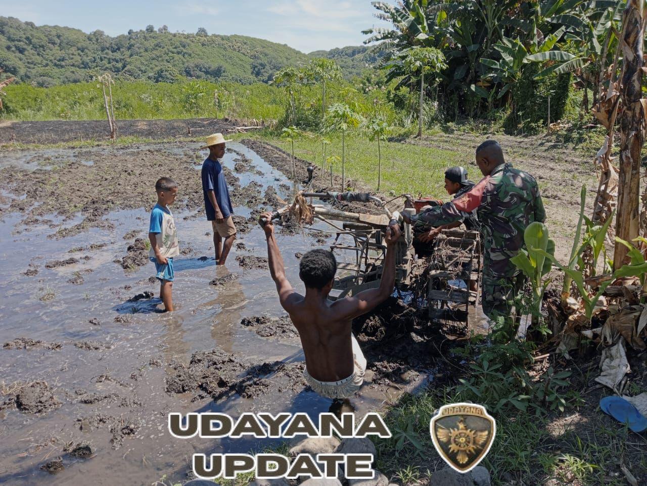 Dukung Ketahanan Pangan, Babinsa Lembur Laksanakan Pendampingan Olah Lahan