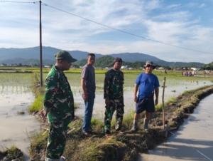 Babinsa Jereweh Mediasi Perselisihan Warga Terkait Pembangunan Jalan Usaha Tani