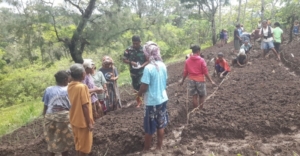 Babinsa dan Warga Satab Bersatu Tanam Hortikultura, Semangat Gotong Royong Menguat
