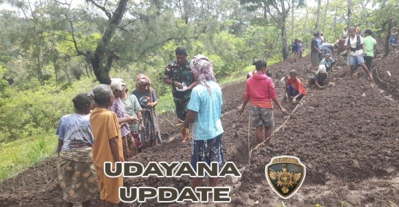 Babinsa dan Warga Satab Bersatu Tanam Hortikultura, Semangat Gotong Royong Menguat