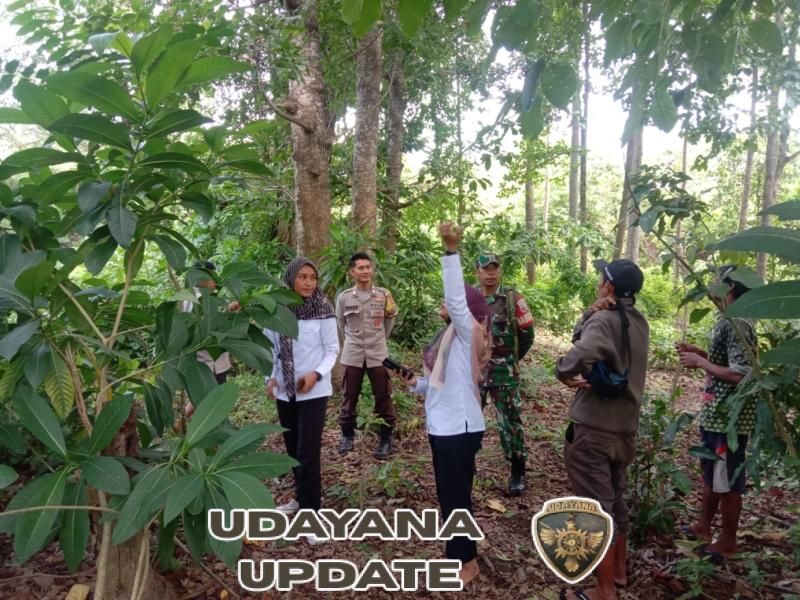 Babinsa Belo Bersama KPH Laksanakan Patroli Hutan Lindung