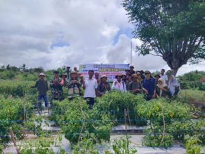 Babinsa Prode SP1 Dukung Peningkatan SDM Petani Lewat Sekolah Lapang Hortikultura