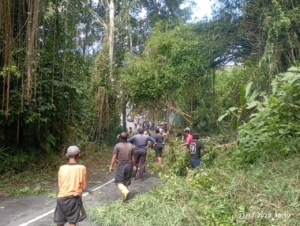 Babinsa Tampaksiring Bersama Instansi Terkait Tangani Pohon Bambu yang Tutupi Akses Jalan