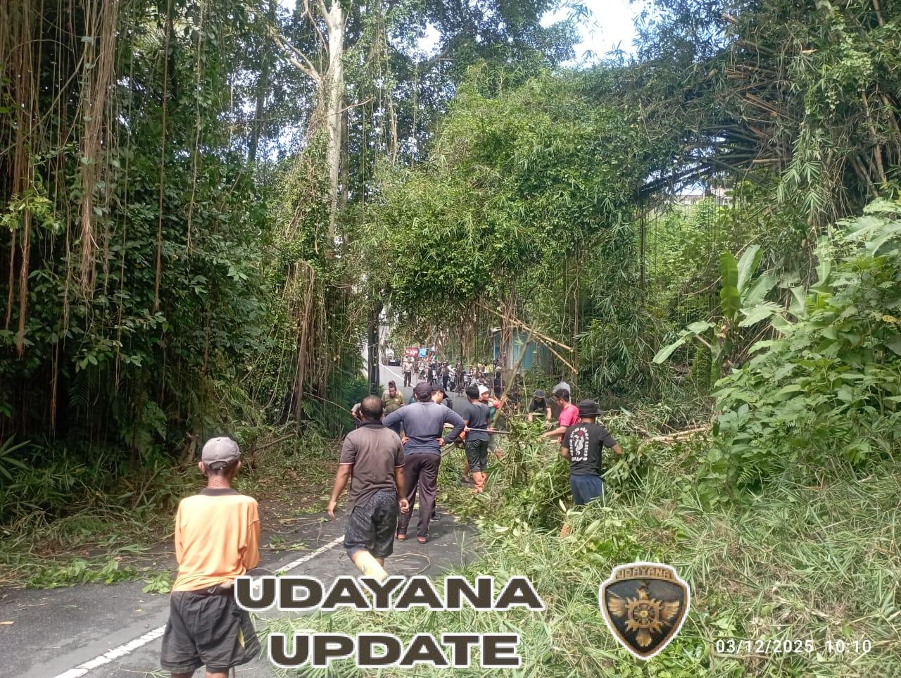 Babinsa Tampaksiring Bersama Instansi Terkait Tangani Pohon Bambu yang Tutupi Akses Jalan