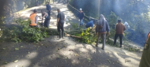 Koramil Sukasada Kawal Penanganan Longsor dan Pohon Tumbang di Ruas Jalan Singaraja–Denpasar