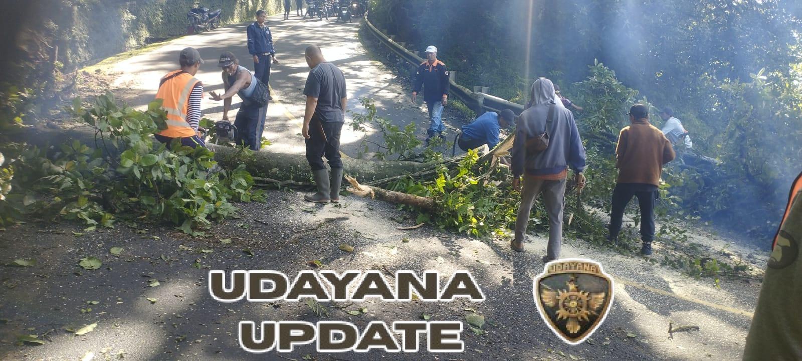 Koramil Sukasada Kawal Penanganan Longsor dan Pohon Tumbang di Ruas Jalan Singaraja–Denpasar