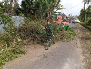 Babinsa Desa Yangapi Kolaborasi dengan DLH Melaksanakan Pembersihan Ranting Pohon Patah di Dusun Metra Kaja guna Pencegahan Kecelakaan