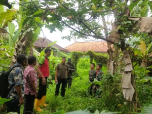 Dandim Tabanan Turun Langsung Cek Lahan Strategis Rencana Pembangunan KDMP Buruan