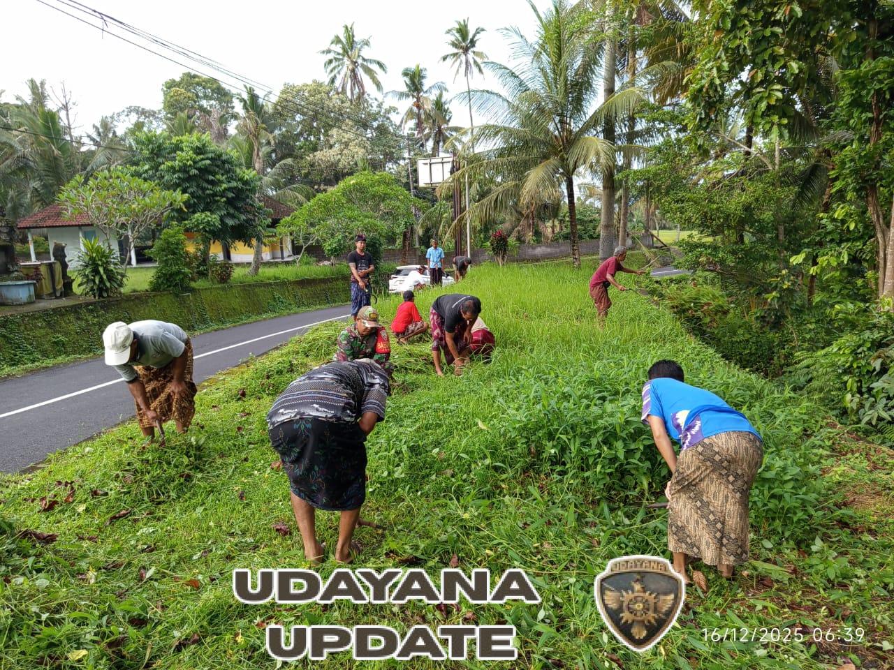 Ngayah Bersama Warga, Babinsa Jegu Turut Mereresik Areal Setra dan Pura Kahyangan Dalem