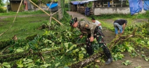 Batang Pohon Kepah Tumbang Puluhan Tahun Tumbang, Babinsa Tihingan Bersinergi Gelar Gotong Royong