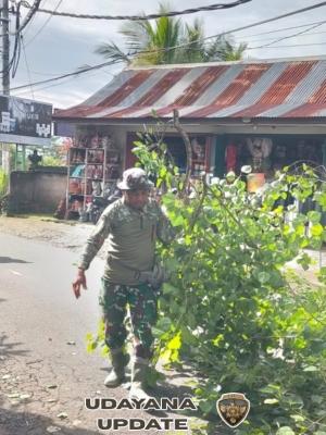 TNI Polri Di Bungbungan Bersinergi Bersama BPBD Gelar Pemangkasan Pohon Cegah Bencana