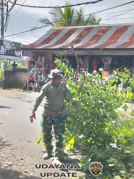 TNI Polri Di Bungbungan Bersinergi Bersama BPBD Gelar Pemangkasan Pohon Cegah Bencana