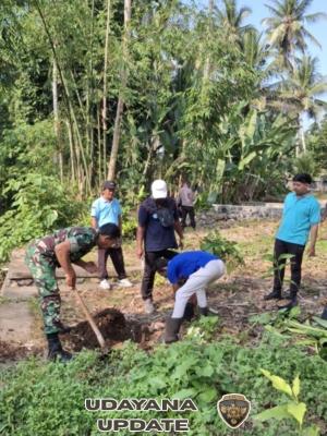 Cegah Abrasi, Dandim 1617/Jembrana Dukung Aksi Penanaman Pohon di Pekutatan