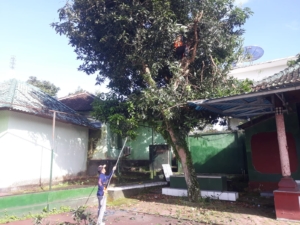 Gelar Aksi Bersih-Bersih, Kodim Klungkung Pangkas Pohon Perindang