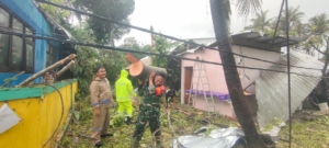 Danramil Nusa Penida Kerahkan Prajurit Tangani Musibah Pohon Tumbang Di Dusun Klod