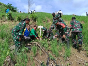 ‎Dukung Penghijauan Daerah, Koramil 1607-03/Ropang Hadir di Safari Sumbawa Menanam Tahap IV