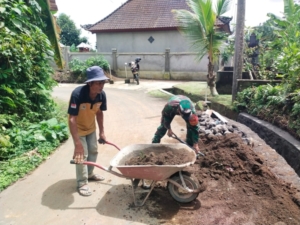 Babinsa Kayubihi Aktif Dukung Program Desa, Gotong Royong Bangun Drainase