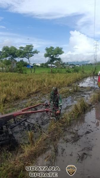 Program Binter Koramil 1630-02/Lembor Dorong Produktivitas Pertanian di Wae Nakeng