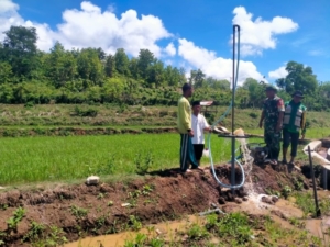 Optimalisasi Lahan untuk Ketahanan Pangan Nasional di Wilayah Langgudu dan Wawo