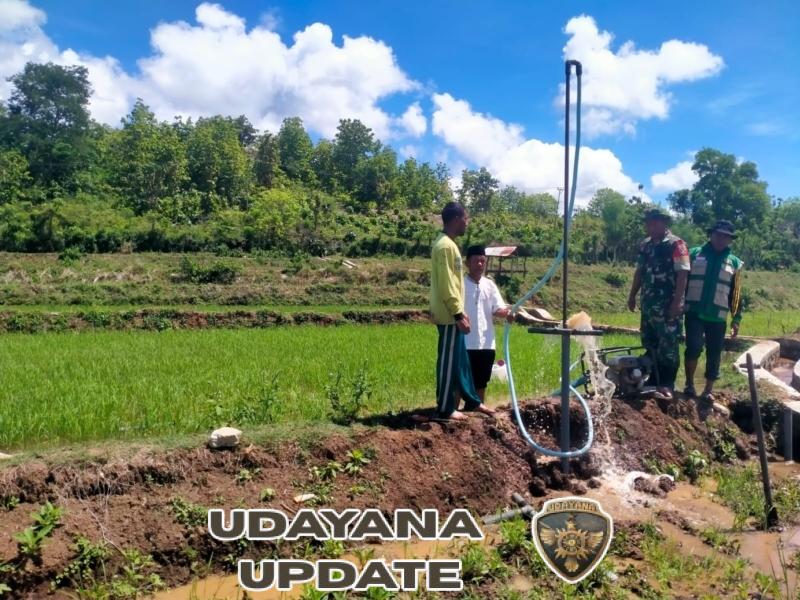 Optimalisasi Lahan untuk Ketahanan Pangan Nasional di Wilayah Langgudu dan Wawo