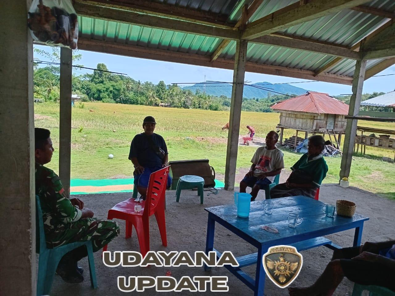 Babinsa Koramil 1602-02/Wolowaru, Pratu Haris Liga, Laksanakan Komsos dan Pamwil di Desa Detuena