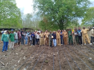 Babinsa Kabola Kawal Penanaman Padi Perdana Program Oplah 2025 di Pante Deere