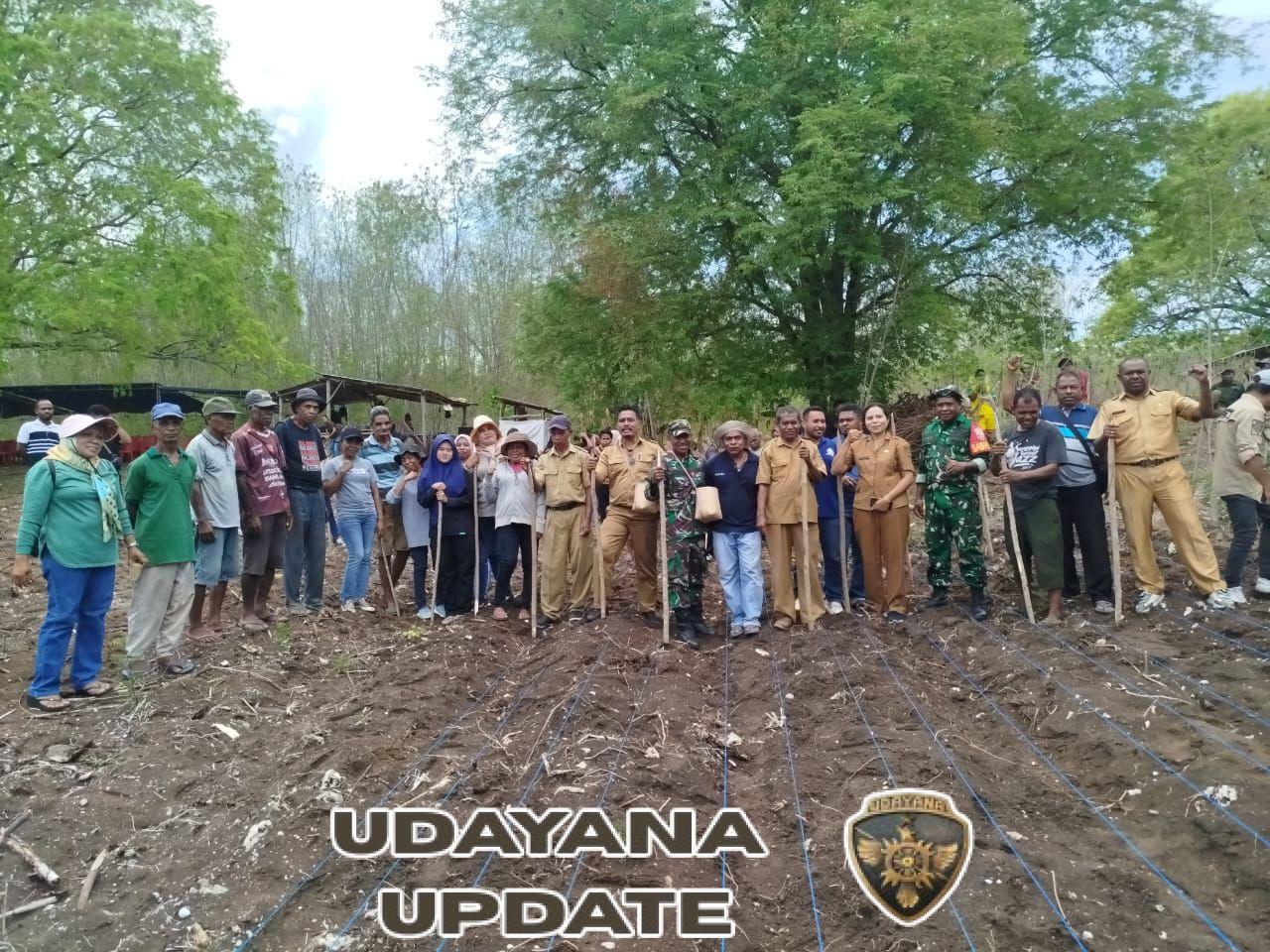 Babinsa Kabola Kawal Penanaman Padi Perdana Program Oplah 2025 di Pante Deere