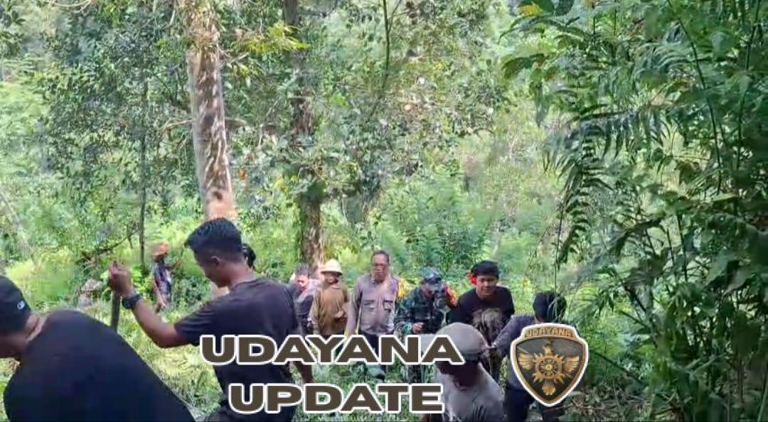 Babinsa Desa Bangbang Bersama Warga Gelar Pencarian Warga Lansia yang Hilang di Banjar Nyanglan Kaja
