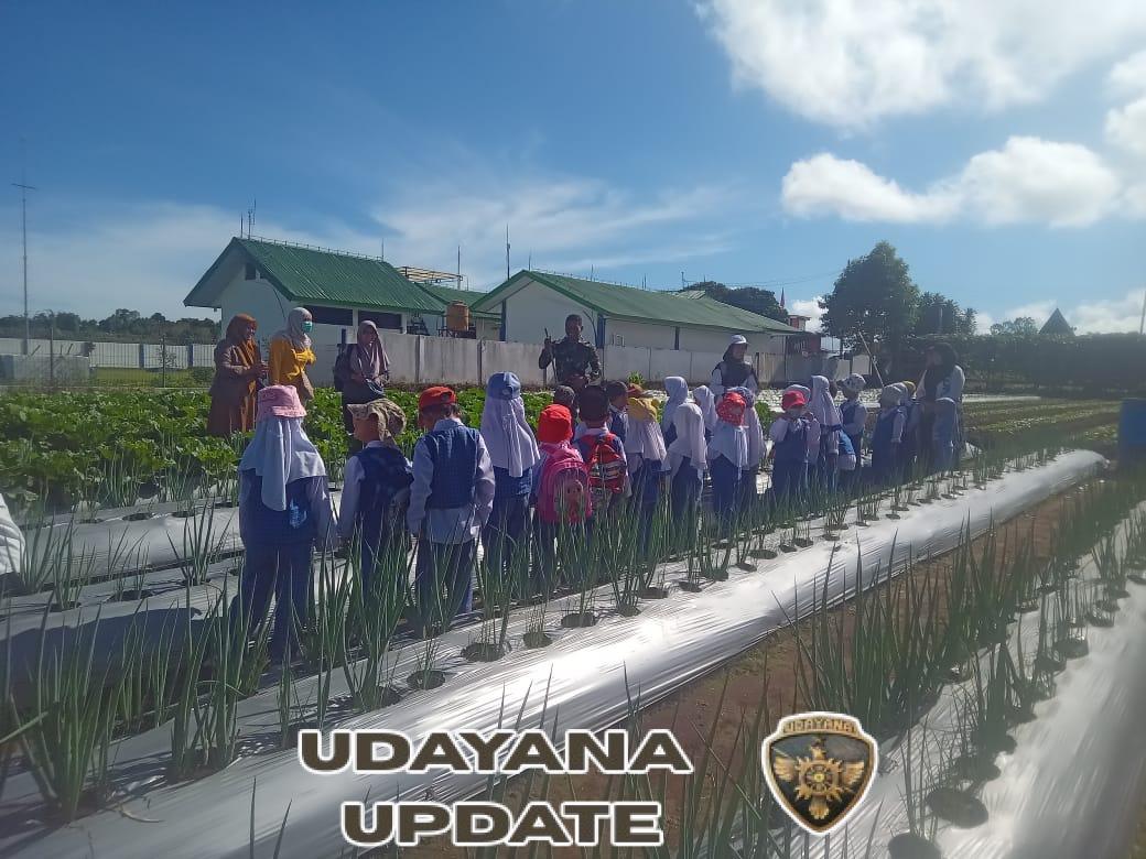 Pratu Sirman Nurjana: Prajurit Jadi Guru, Menanam Benih Sukses dan Kecerdasan di Demplot Sayuran