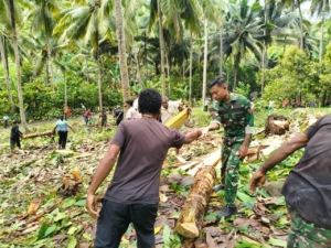 Babinsa Bola Gerakkan Pembangunan: Lahan Koperasi Merah Putih Mulai Dibersihkan dan Diratakan
