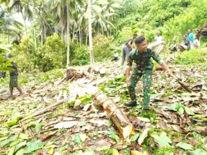 Babinsa Bola Gerakkan Pembangunan: Lahan Koperasi Merah Putih Mulai Dibersihkan dan Diratakan