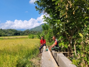 Babinsa Maurole Dampingi Pembangunan Irigasi 193 Meter di Desa Tou Barat