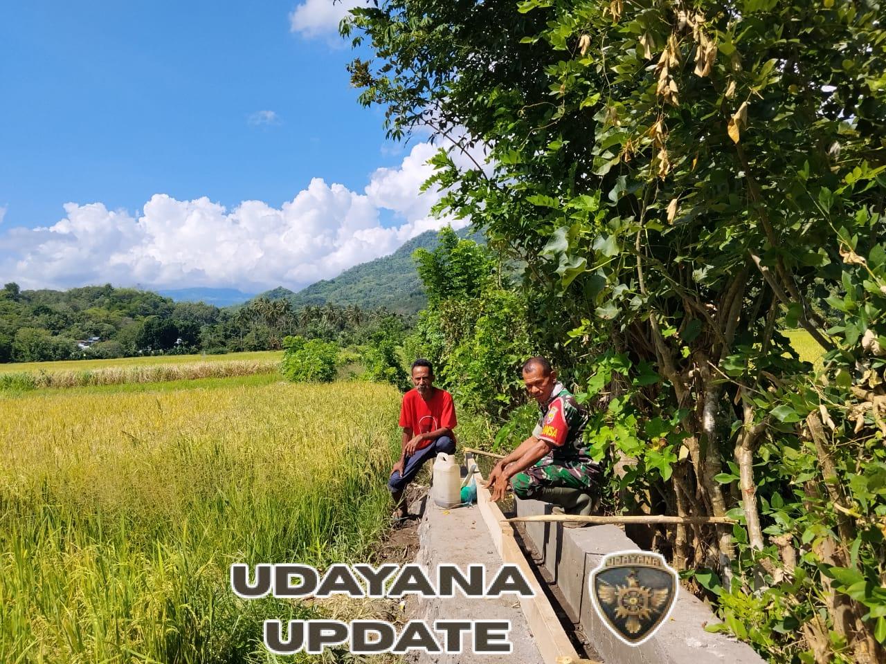 Babinsa Maurole Dampingi Pembangunan Irigasi 193 Meter di Desa Tou Barat