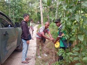 Babinsa Binafun Dampingi Pasiter Cek Lahan Pembangunan KDKMP Desa