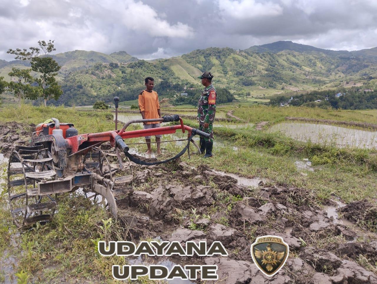 Babinsa Sertu Alifin Komsos dengan Petani Siapkan Lahan Sawah di Desa Kabukarudi