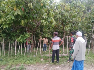 Babinsa 1602-01/Ende Laksanakan Komsos dan Pamwil di Dua Desa di Nangapanda