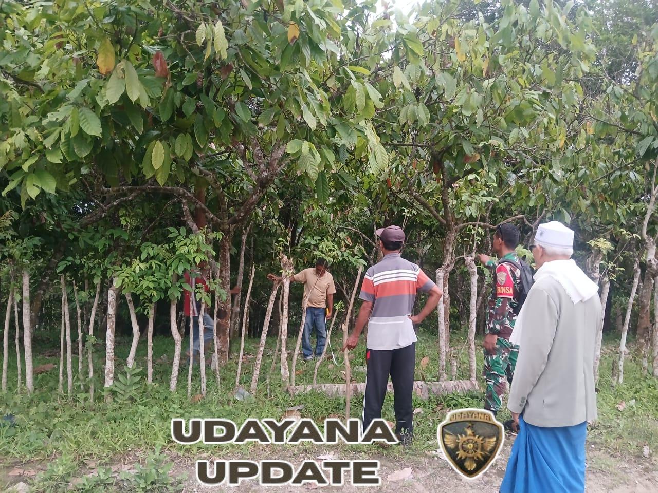 Babinsa 1602-01/Ende Laksanakan Komsos dan Pamwil di Dua Desa di Nangapanda