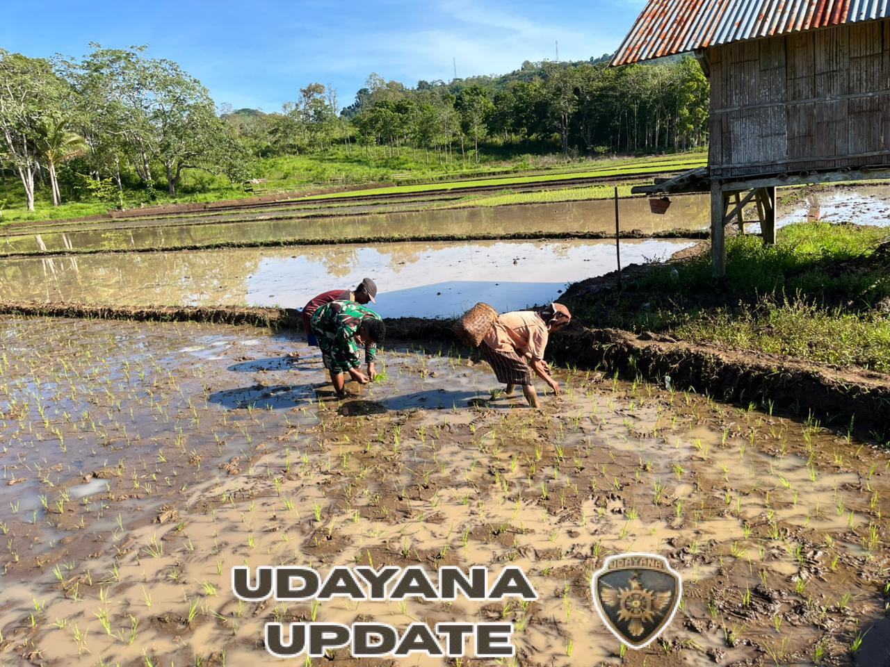 Babinsa Bonmuti Dampingi Pasiter Cek Lahan Pembangunan KDKMP Desa