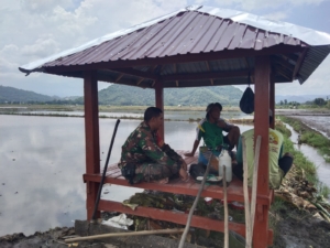 Babinsa Nowa Ajak Petani Tanam Serempak untuk Permudah Proses Panen