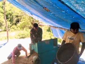 Pasca Panen, Anggota Satgaster Pos Fatubesi Bawah Bantu Petani Rontokan Hasil Panen Padi