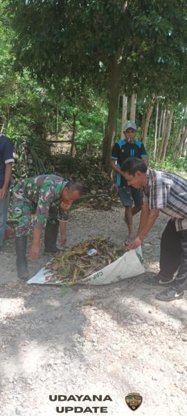 Kerja Bakti Bersama di Kantor Desa Kuatae Babinsa Kota So’e dan Staf Desa Kuatae Bersihkan Drainase Cegah Banjir