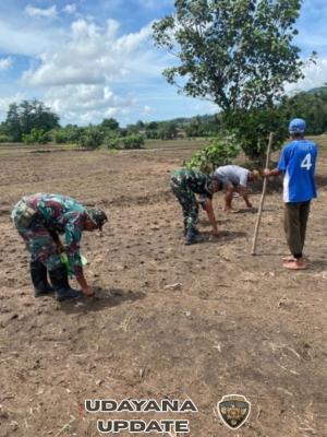 Dabinsa Wulanggitang Dukung Program Ketahanan Pangan di Desa Boru