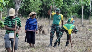 Satgas Pos Motamasin dan Warga Alas Selatan Tanam Jagung di Perbatasan