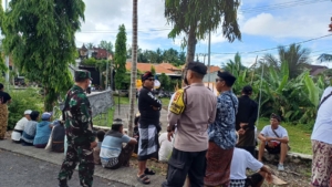 Aparat TNI Dan Polri Serta Pecalang Di Desa Tanglad Pastikan Kelancaran Upacara Ngaben Melalui Pengawalan